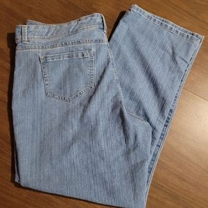 Basic edition pant